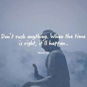 Meet your Posher, Brit